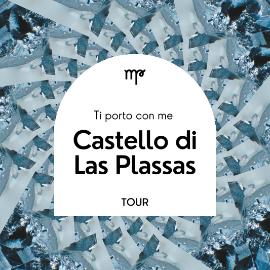 Alla scoperta del Castello di Las Plassas